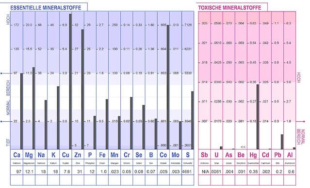 Verisana Erfahrung Haarmineralanalyse